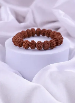 7 Mukhi Rudraksha Bracelet | Protection mall
